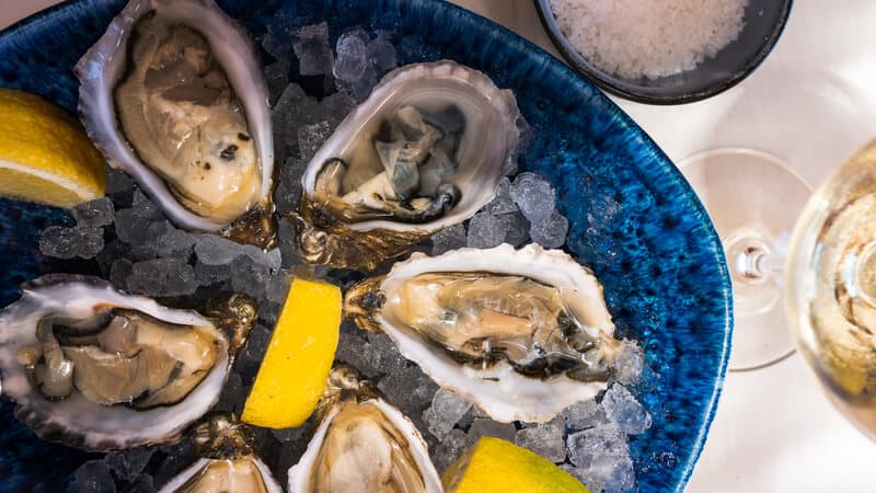 Carreiras | Animaris